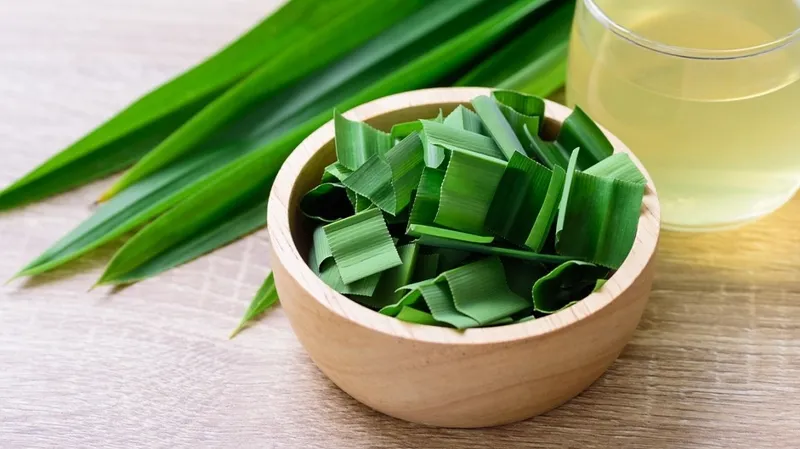 Cách sử dụng lá dứa tươi nấu nước uống hàng ngày hỗ trợ điều trị bệnh tiểu đường