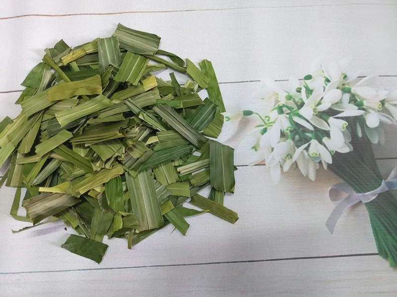 Pandan lá dứa khô dùng để pha trà hỗ trợ kiểm soát đường huyết