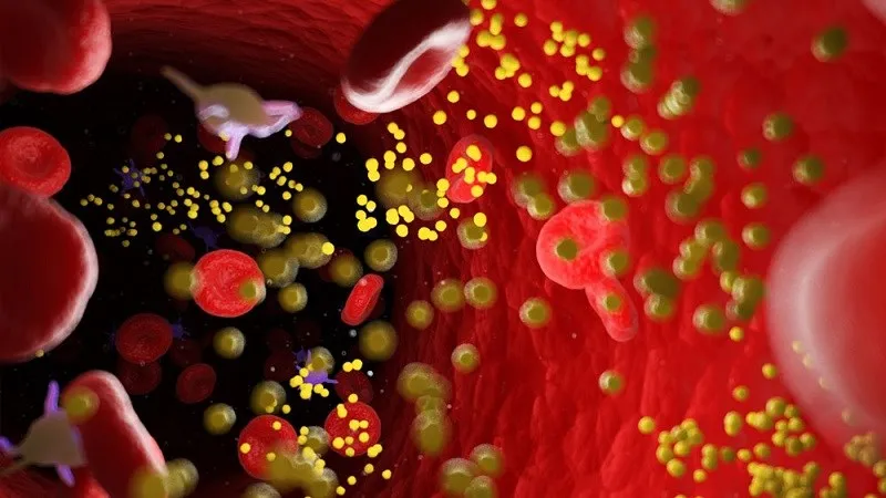 Nước dừa giúp giảm cholesterol xấu