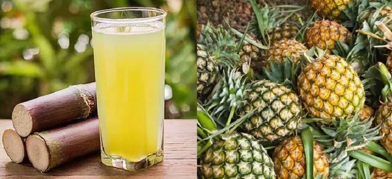 Ly nước mía ép dứa vàng óng, hấp dẫn với lát dứa trang trí