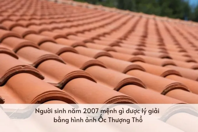 Ý nghĩa của Ốc Thượng Thổ là ngói lợp mái nhà