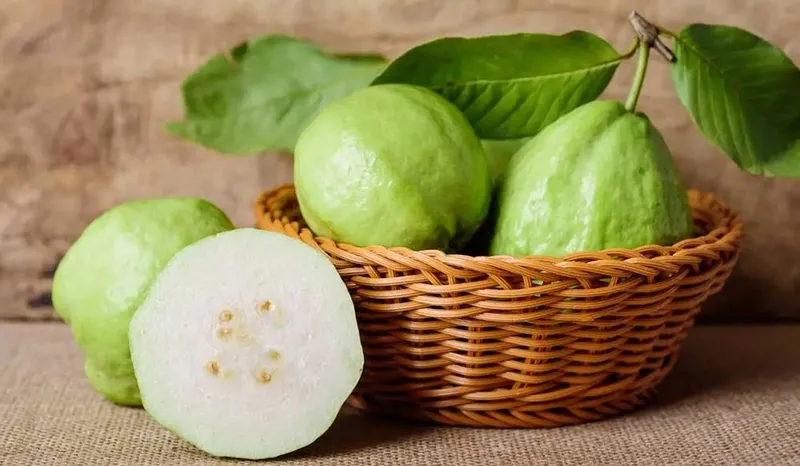 Ổi cung cấp bao nhiêu calo