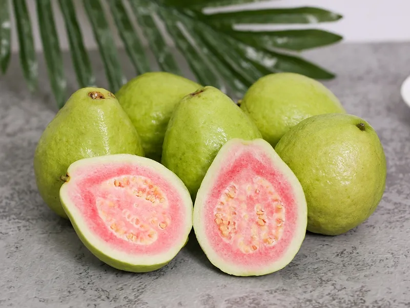 Ăn ổi đúng cách để tránh tác dụng phụ