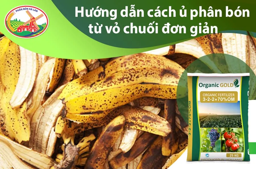 Cách ủ phân bón từ vỏ chuối đơn giản