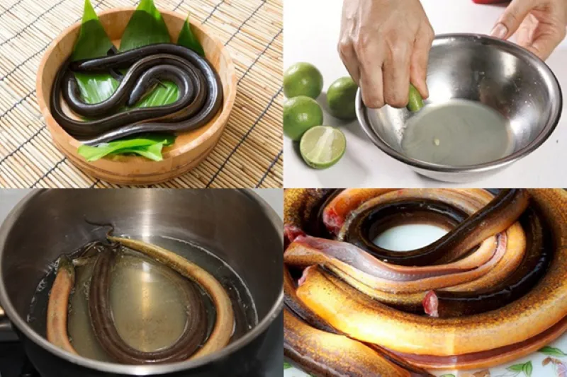 Các bậc phụ huynh cần lưu ý trong khâu lựa chọn và sơ chế lươn để đảm bảo vệ sinh an toàn thực phẩm