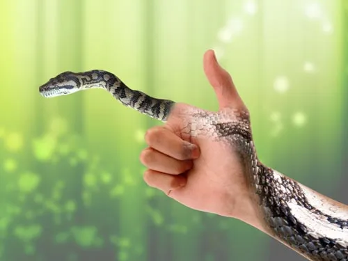 Hình ảnh rắn còn tượng trưng cho khả năng sáng tạo tiềm ẩn của con người
