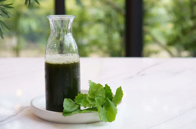 Không nên pha đường vào nước rau má để giữ trọn vẹn tác dụng thanh nhiệt, giải độc và tránh đầy bụng.