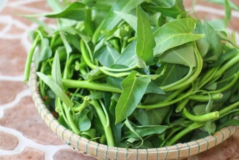 Rau muống tươi xanh đang được cân đo calo