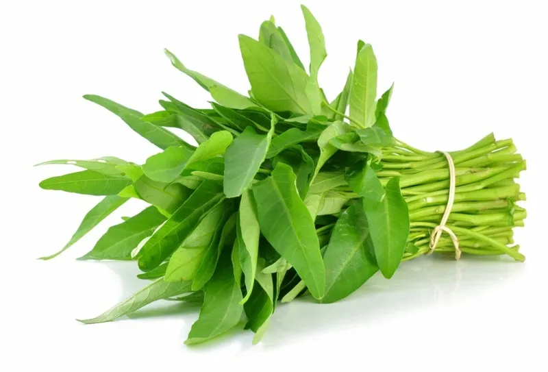 Rau muống là loại rau phổ biến ở mọi vùng miền