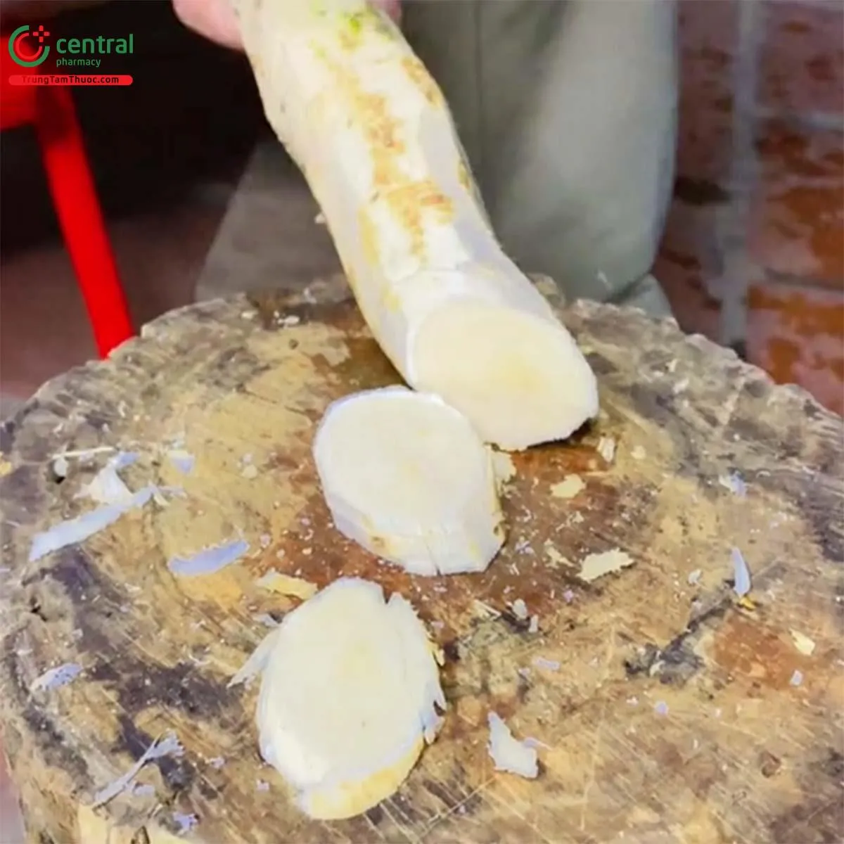 Rễ củ Sâm bổ béo