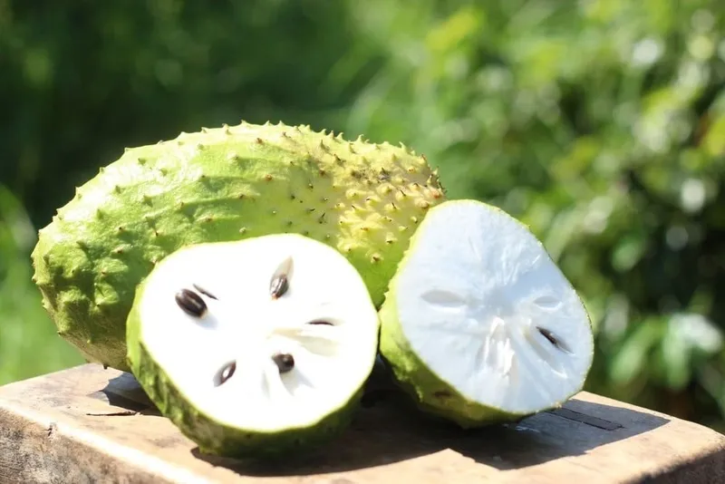 Quả mãng cầu tươi ngon sau thu hoạch được dùng làm sinh tố