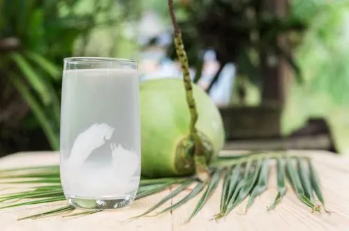 Người bệnh tiểu đường nên uống nước dừa nguyên chất, không thêm đường, tránh nước dừa đóng lon
