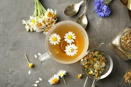 Trà không đường không chứa calo và cung cấp các hợp chất thực vật có lợi cho cơ thể