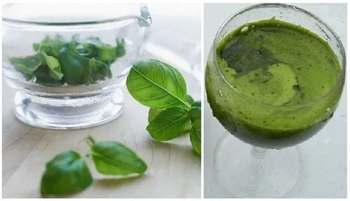 Cây húng quế có tác dụng ngăn ngừa mụn trứng cá