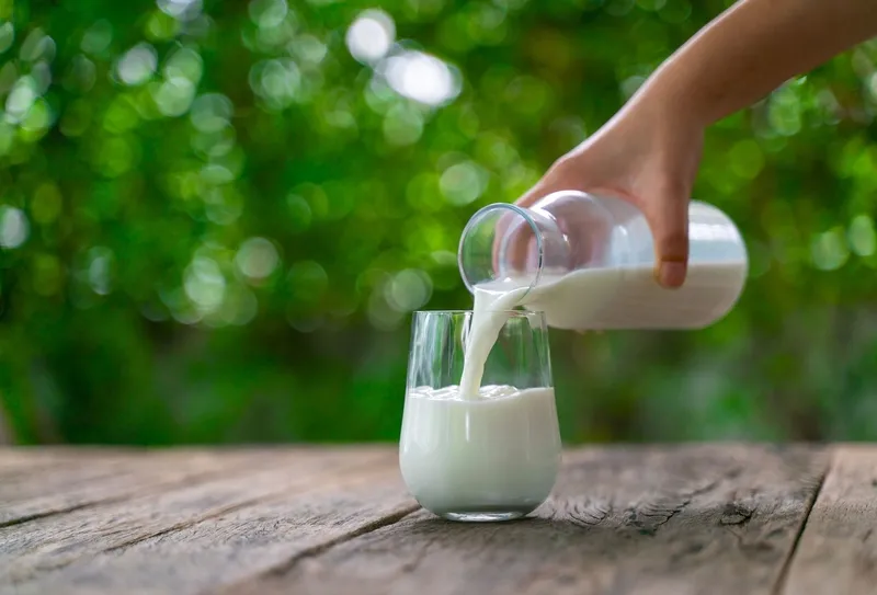 Hộp sữa tươi không đường đa dạng dung tích, thể hiện sự tiện lợi và lựa chọn phong phú