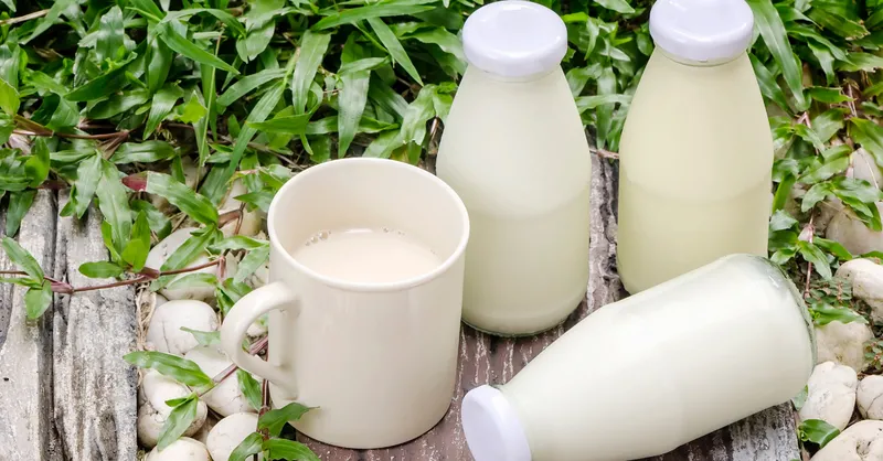 Súp lơ xanh kết hợp với sữa bò có thể làm giảm khả năng hấp thụ canxi