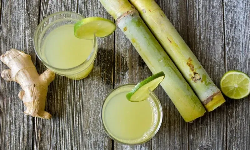 Những cây mía xanh tốt được trồng trên cánh đồng, tượng trưng cho nguồn nguyên liệu tự nhiên của thức uống bổ dưỡng