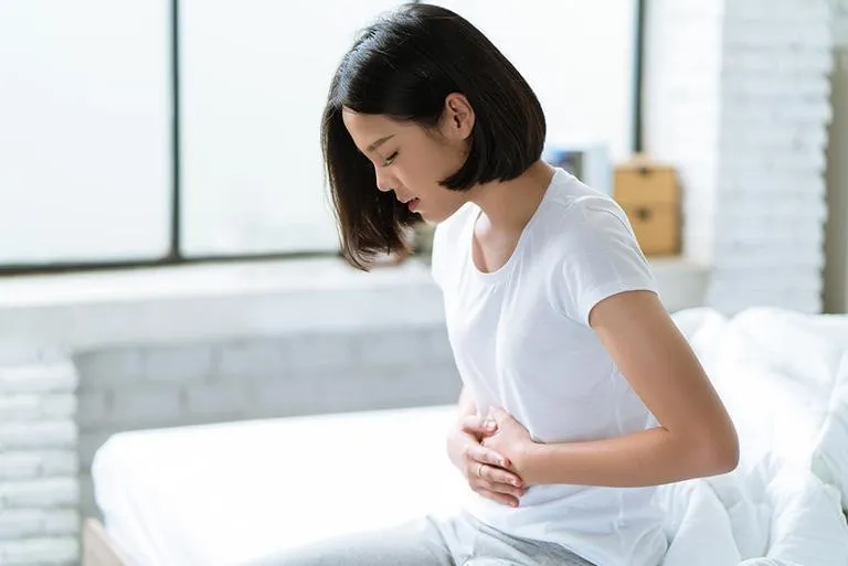 Lá é có tác dụng giảm đầy hơi khó tiêu