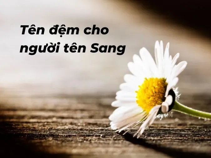 Gợi ý những tên đệm hay và ý nghĩa cho tên Sang