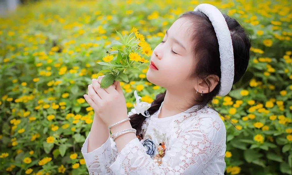 Phong thuỷ mang lại sự cao quý và thịnh vượng