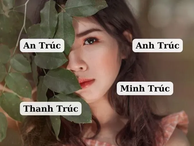 Cô gái đặt tên Trúc có ý nghĩa gì? 3
