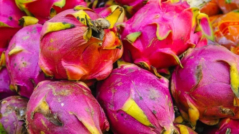 Màu nước tiểu có thể chuyển sang nâu đỏ khi ăn quá nhiều thanh long ruột đỏ