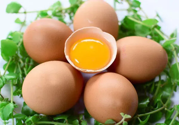 Trứng gà giàu dưỡng chất thiết yếu cho cơ thể