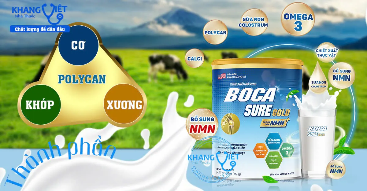 Thành phần sữa non xương khớp Boca Sure Gold
