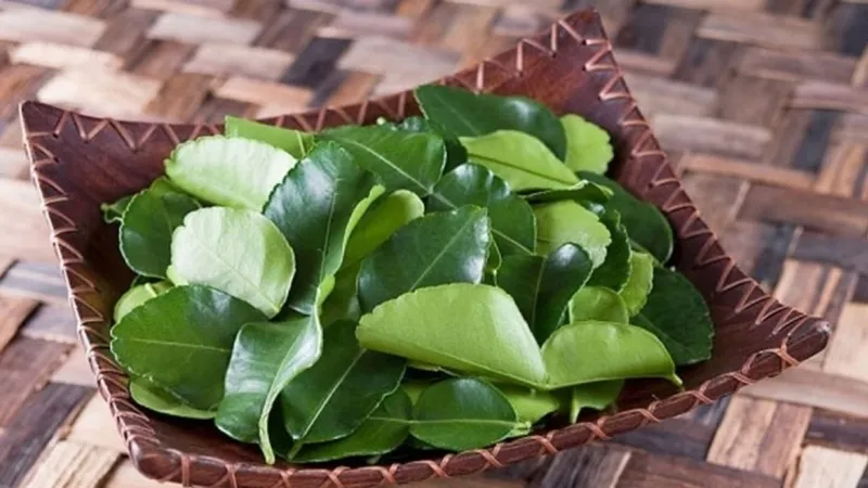 Tinh dầu của lá bưởi giúp thư giãn và giải cảm hiệu quả