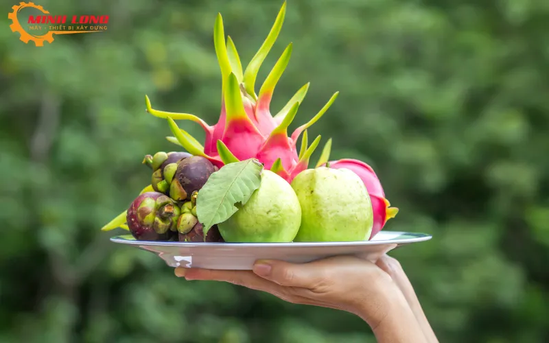 Cách bày trí trái cây cúng động thổ theo phong tục vùng miền