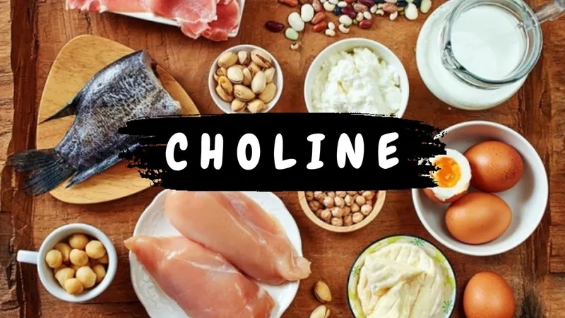 Choline trong trứng đóng vai trò quan trọng trong sự phát triển và bảo vệ hệ thần kinh não bộ.