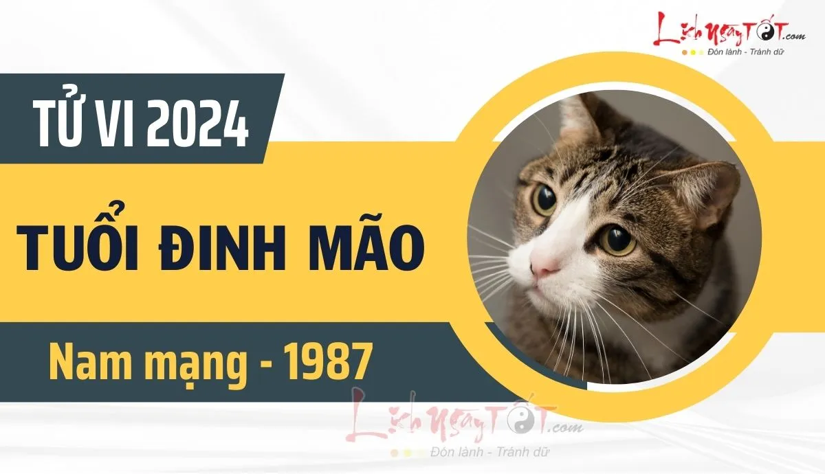 Người đàn ông tuổi Đinh Mão đang suy tư về vận mệnh năm 2024