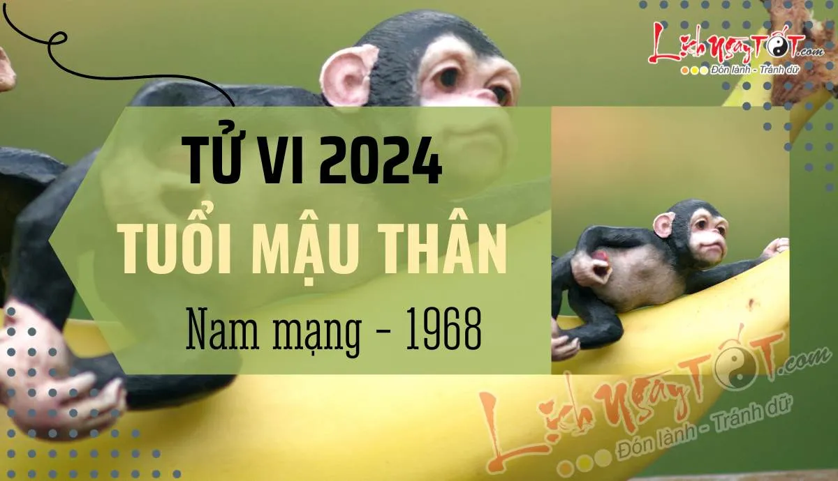Chân dung nam tuổi Mậu Thân 1968 nhìn về năm 2024 Giáp Thìn