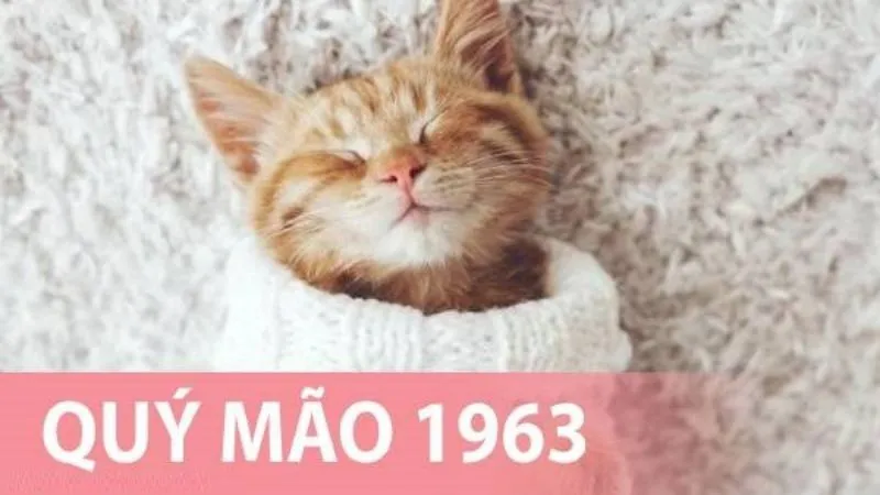 Người sinh năm 1963 - Quý mão