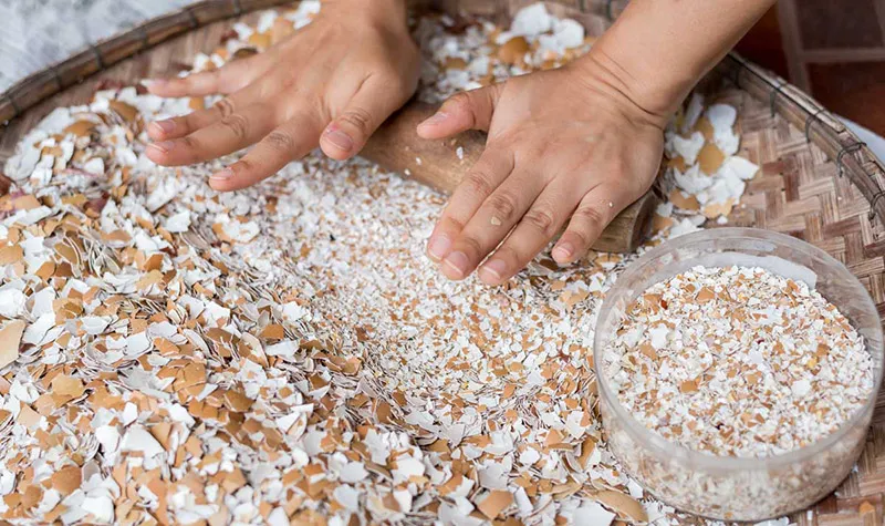Bột vỏ trứng gà đã nghiền mịn sẵn sàng để bón cây