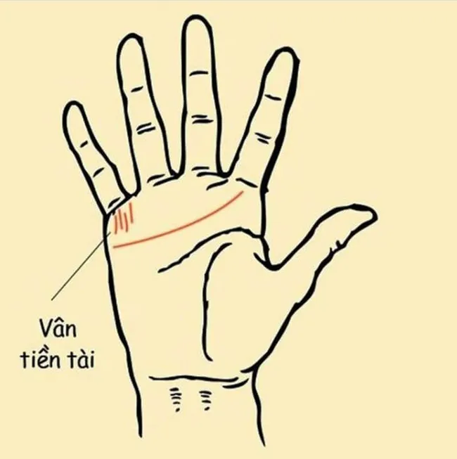 Ngón tay có vết vân tiền tài là một dấu hiệu phản ánh sự giàu có và phú quý