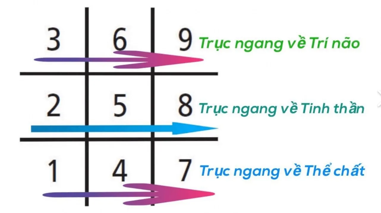 Ý nghĩa các trục biểu đồ ngày sinh