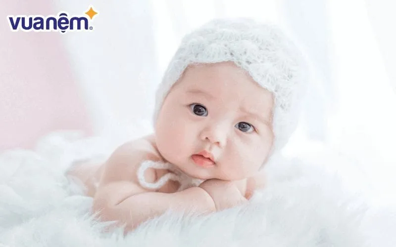 Tím hiểu ý nghĩa tên Oanh là gì?